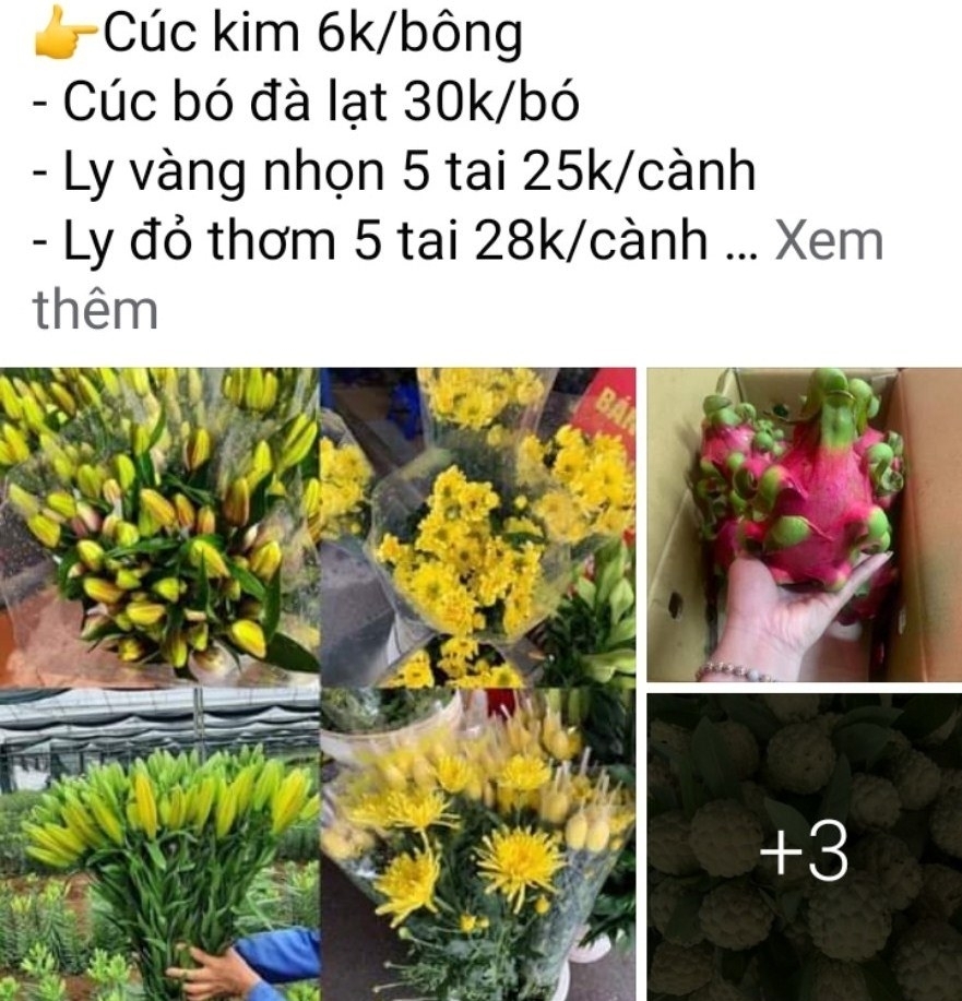 Các loại hoa tươi được đăng bán trên mạng