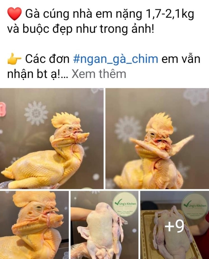 Gà được làm sẵn cũng được các chủ shop bán hàng online chào mời với mức giá rất hấp dẫn