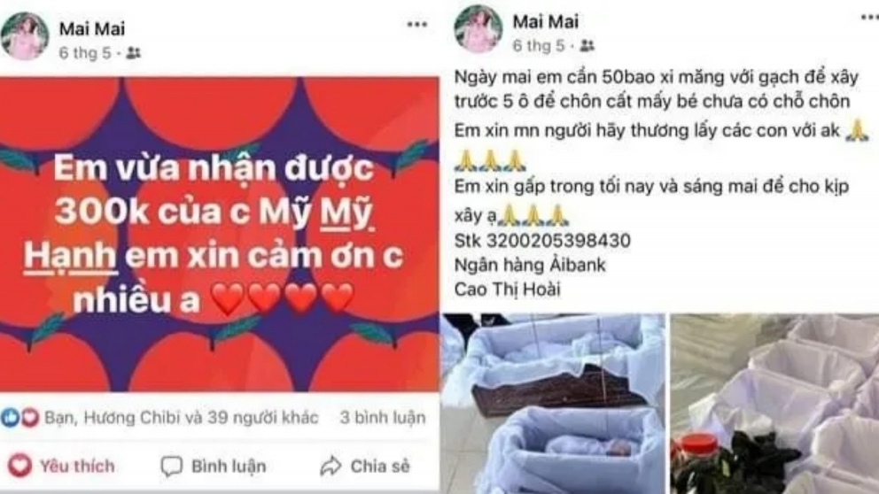 Đối tượng sử dụng tài khoản Facebook Mai Mai để thực hiện hành vi phạm tội trên không gian mạng (Nguồn: Internet)