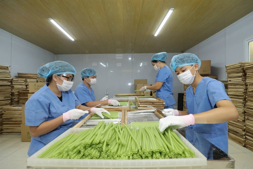 Trong sản xuất nông nghiệp, thành phố Hà Nội cần tăng cường chương trình “Liên kết 4 nhà” và tiêu thụ nông sản hỗ trợ bà con nông dân