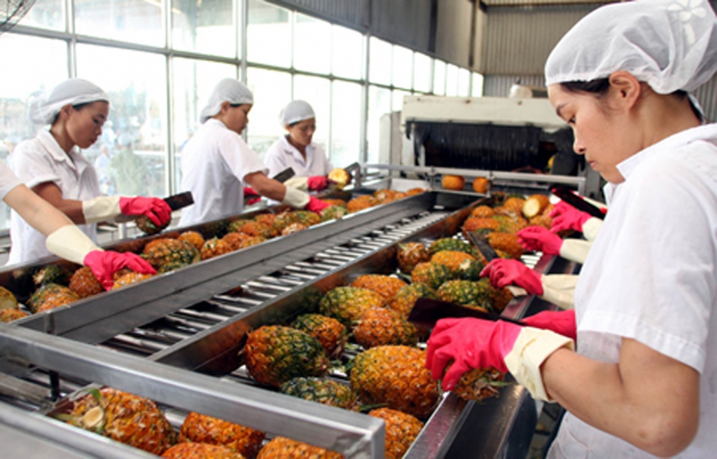 Quảng Nam: Thực hiện đồng bộ các giải pháp nâng cao giá trị nông lâm thủy sản