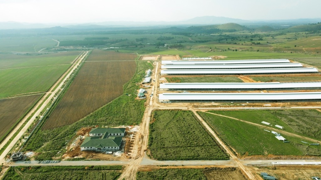 Vinamilk mở rộng thị trường quốc tế với 2 hướng đi mũi nhọn