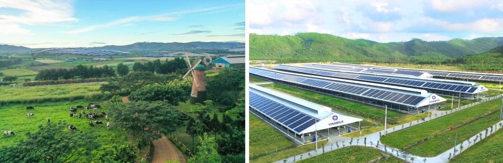 Giảm thiểu dấu chân Carbon trong chuỗi giá trị - điều cần thiết để tiến đến Net Zero