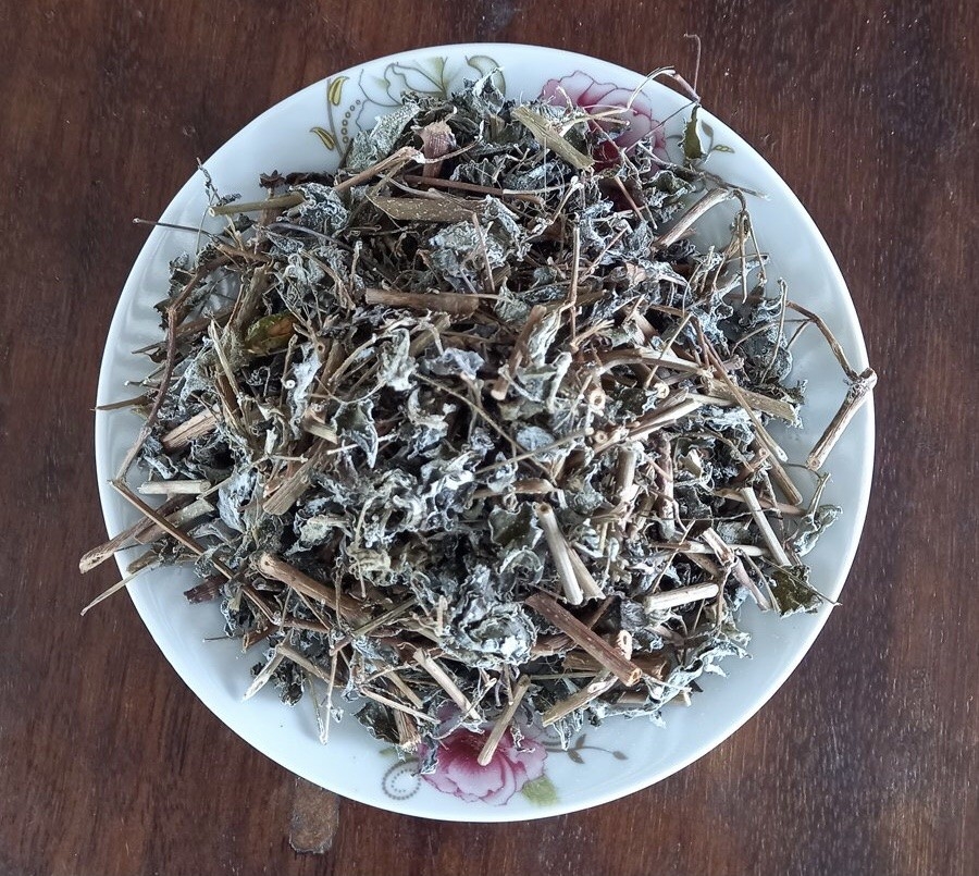 Quảng Nam: Thu về 500 triệu đồng/năm nhờ khởi nghiệp từ cây chè dây