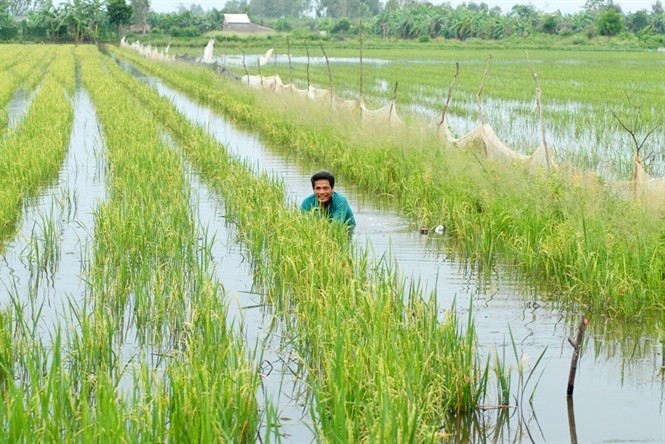 Hiệu quả từ các mô hình nông nghiệp kinh tế tuần hoàn