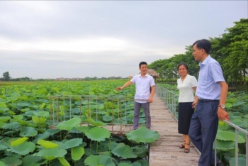 Huyện Sóc Sơn có thêm 3 xã đạt Nông thôn mới kiểu mẫu