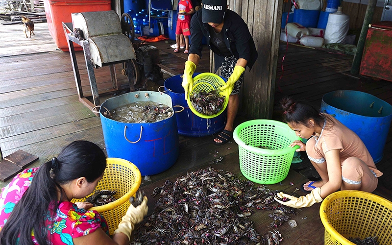 5333-con-ba-khiia-y-tuong-khoi-nghiep-sang-tao