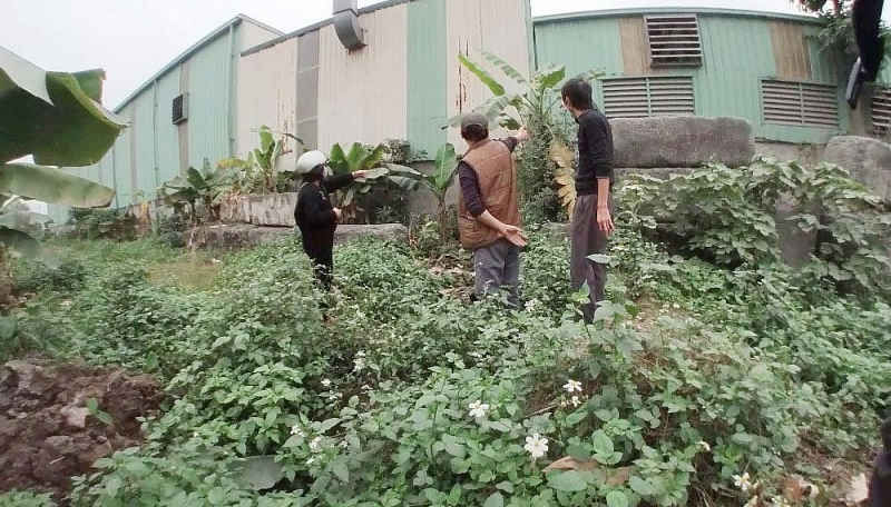 Đan Phượng (Hà Nội): Có hay không việc Công ty MBT xả thải trực tiếp, gây ô nhiễm môi trường? dan phuong ha noi co hay khong viec cong ty mbt xa thai truc tiep gay o nhiem moi truong