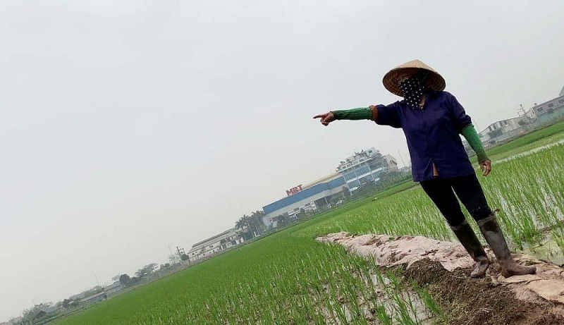 Đan Phượng (Hà Nội): Có hay không việc Công ty MBT xả thải trực tiếp, gây ô nhiễm môi trường? dan phuong ha noi co hay khong viec cong ty mbt xa thai truc tiep gay o nhiem moi truong