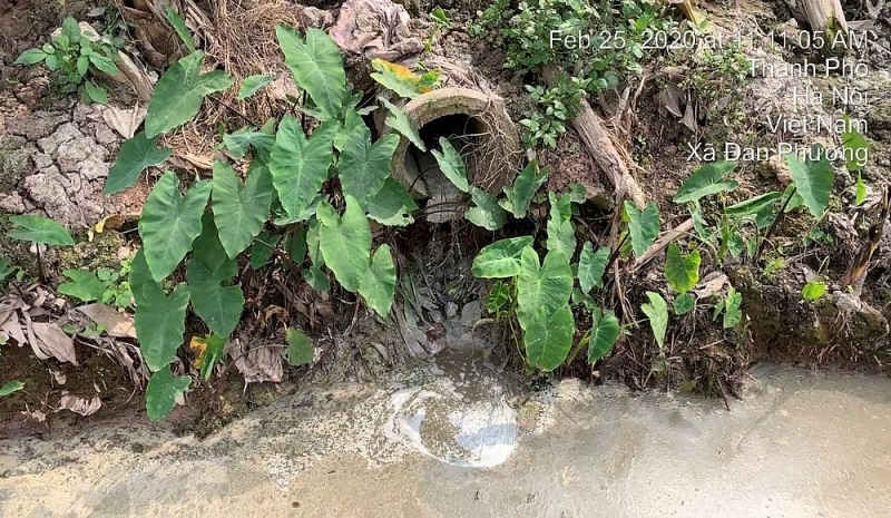 Đan Phượng (Hà Nội): Có hay không việc Công ty MBT xả thải trực tiếp, gây ô nhiễm môi trường? dan phuong ha noi co hay khong viec cong ty mbt xa thai truc tiep gay o nhiem moi truong