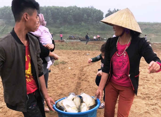 Cá chết hàng loạt bất thường trên sông Chu - Ảnh 4. Cá chết hàng loạt bất thường trên sông Chu - Ảnh 4.