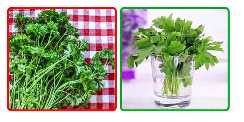 Những mẹo bảo quản rau củ quả để nhiều ngày chẳng hỏng, đỡ tốn công đi mua - Ảnh 5