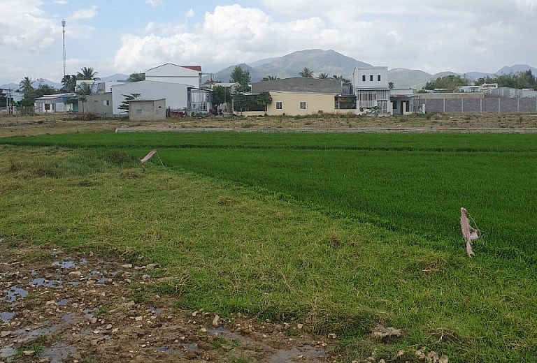 khanh hoa phe duyet ke hoach su dung dat thanh pho nha trang nam 2020