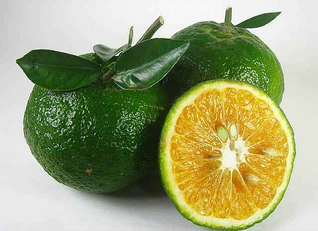 Ăn cam tăng cường sức đề kháng nhưng tránh ăn với 3 món này kẻo trả giá đắt