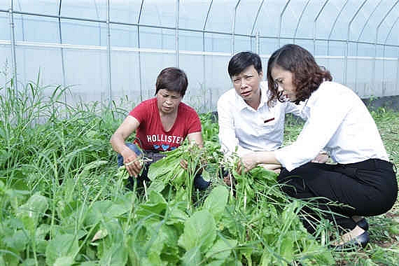 Thẻ Agribank đồng hành cùng tam nông để đẩy lùi tín dụng đen