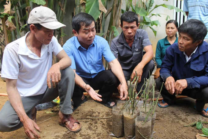 Nông dân được trang bị những kiến thức trong trồng tiêu, kỹ thuật phòng trừ sâu bệnh theo hướng an toàn sinh học, hạn chế ô nhiễm môi trường.