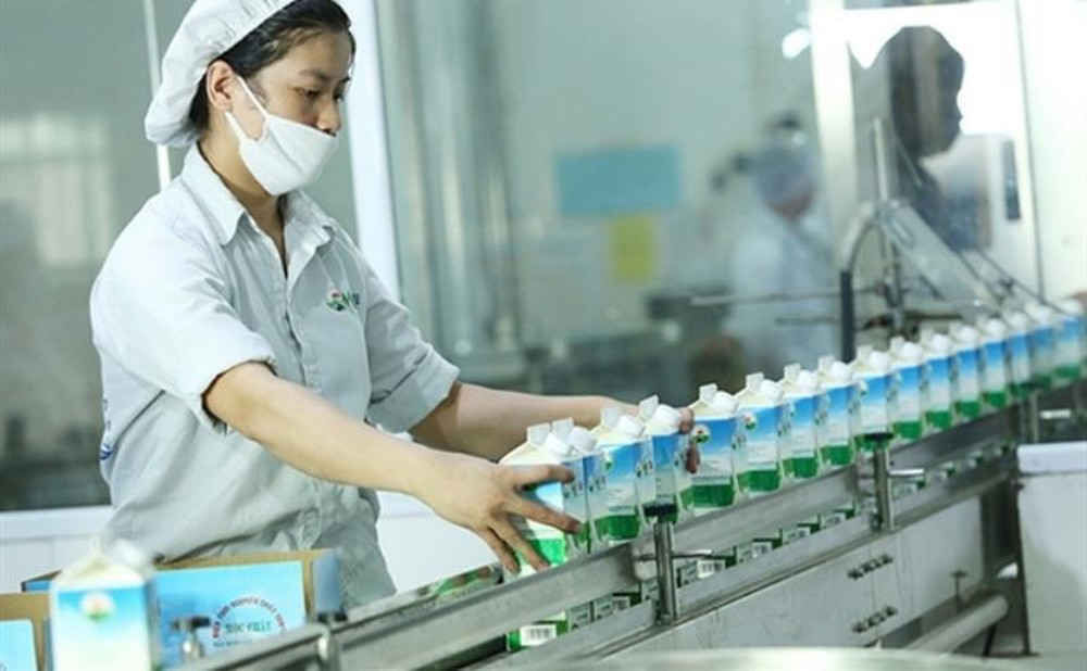 GTN Foods có chiến lược đầu tư mạnh cho phát triển ngành sữa