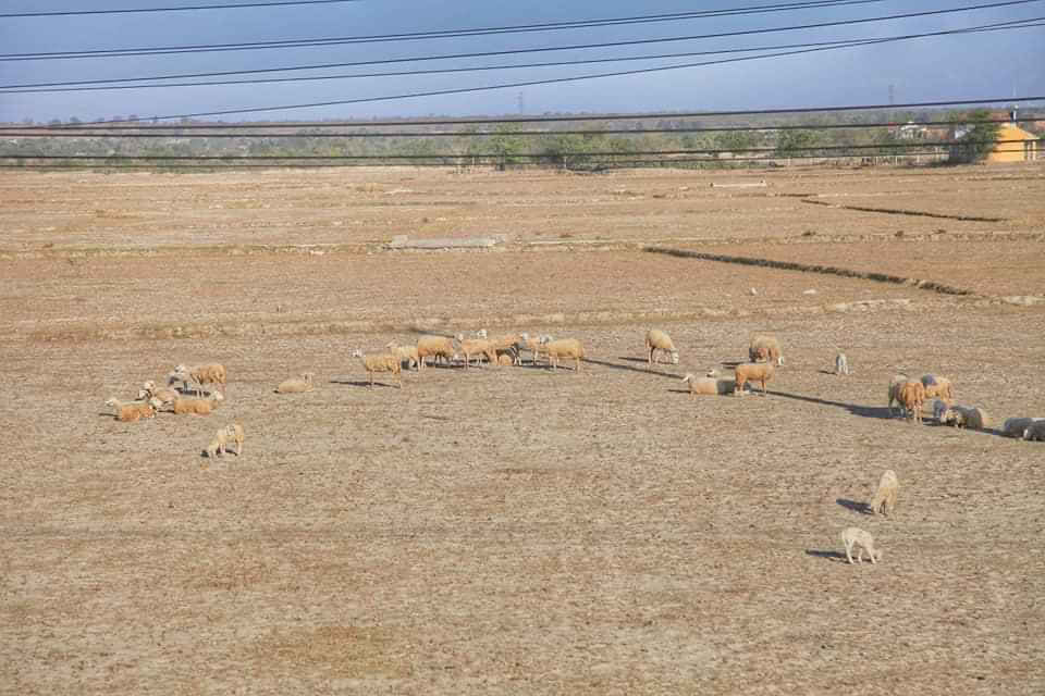 Ấm áp tình người ở khu cách ly Văn Lâm 3 - 2 Ấm áp tình người ở khu cách ly Văn Lâm 3 - 2