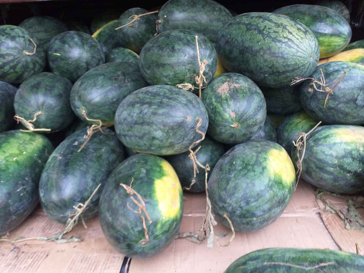 Ấm áp tình người ở khu cách ly Văn Lâm 3 - 12 Ấm áp tình người ở khu cách ly Văn Lâm 3 - 12