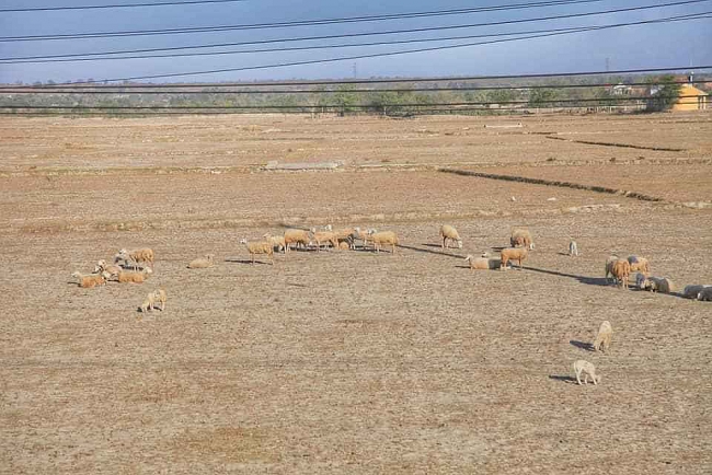 Ấm áp tình người ở khu cách ly Văn Lâm 3