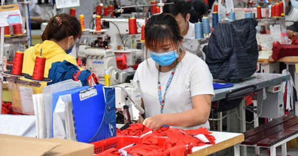 Ứng phó khi châu Âu đóng cửa biên giới - Ảnh 1.