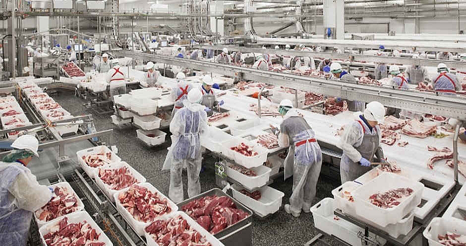50.000 tấn thịt lợn đổ về, dân Việt được ăn lợn giá rẻ
