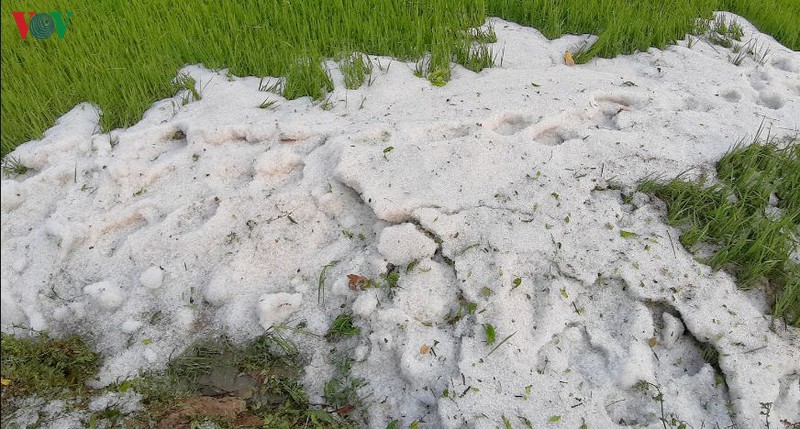 mua da xuat hien tai dien bien, son la hinh 1