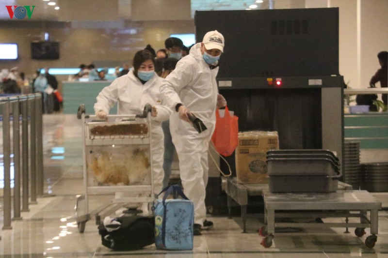 cảng hàng không quốc tế cần thơ đón thêm chuyến bay từ australia hình 10 cang hang khong quoc te can tho don them chuyen bay tu australia hinh 10