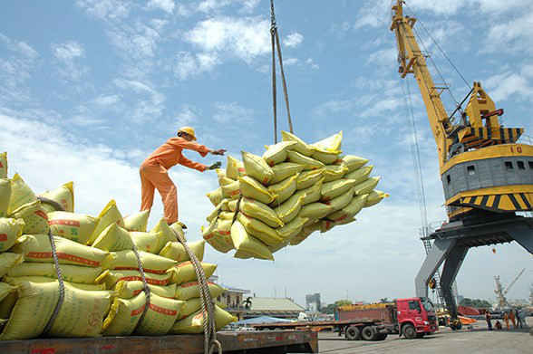 Thủ tướng quyết định tạm dừng ký mới hợp đồng xuất khẩu gạo