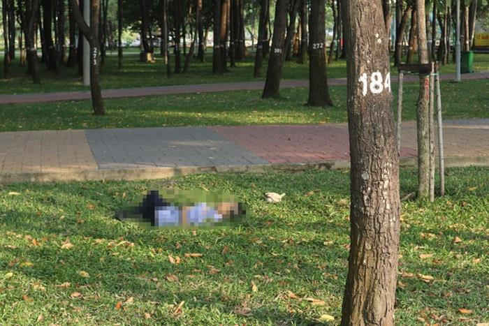 Người đàn ông chết trong công viên Gia Định TP.HCM - 1