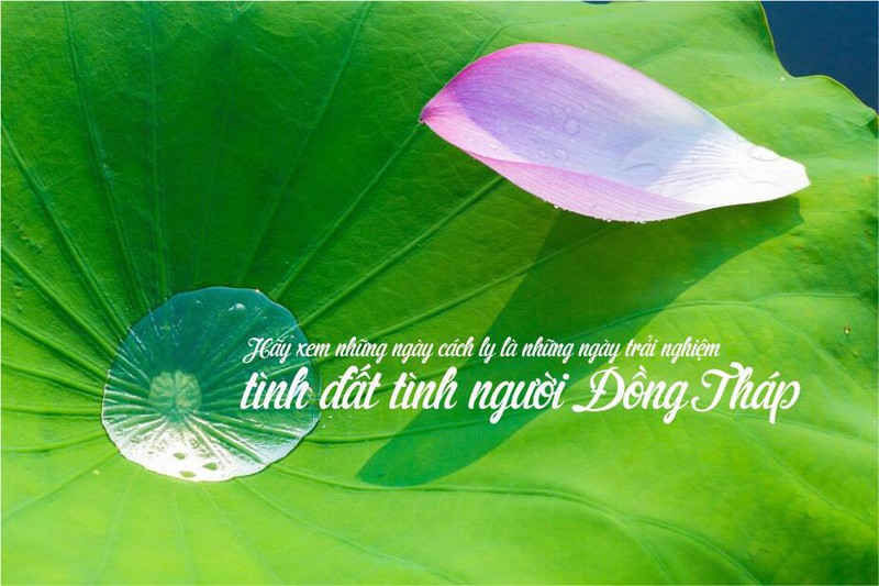 dong thap in logo gui thong diep