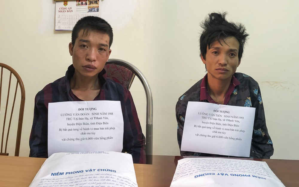 ​2 anh em van chuyen trai phep 6.000 vien ma tuy tong hop hinh 1