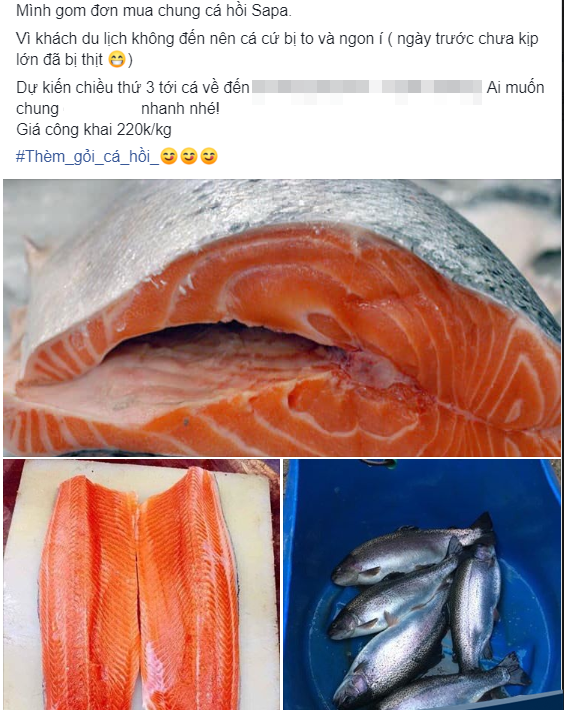 den luot ca hoi sa pa, hau keu goi duoc
