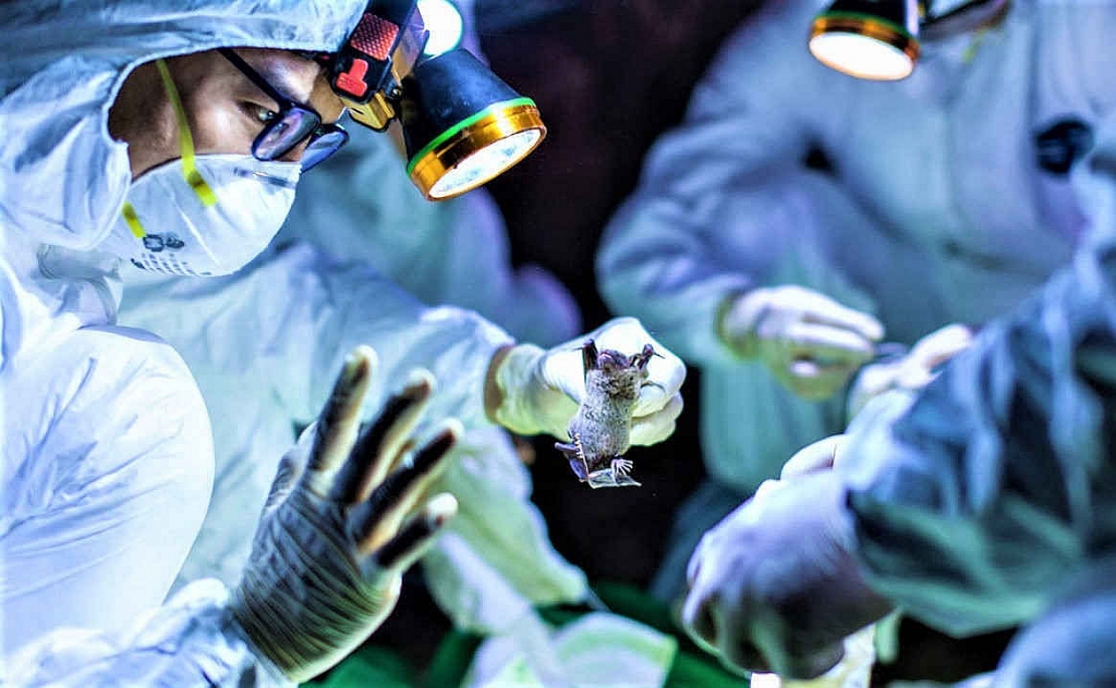 Các nhà khoa học Nga cảnh báo về khả năng bùng phát dịch bệnh mới