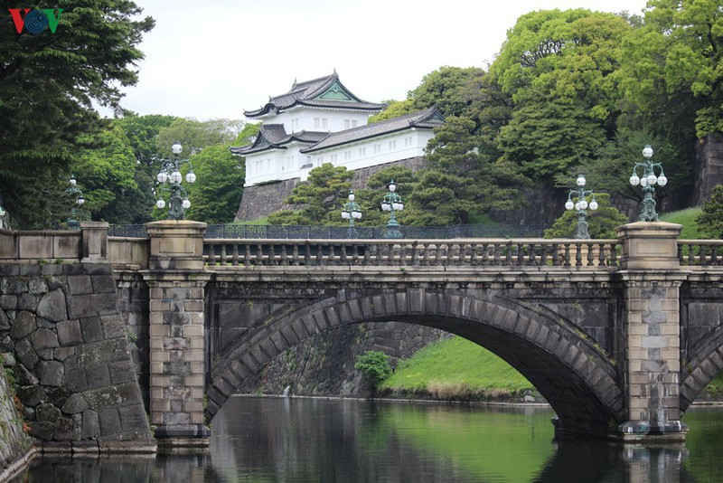 ho ve hoang cung nhat ban mac covid-19 hinh 1