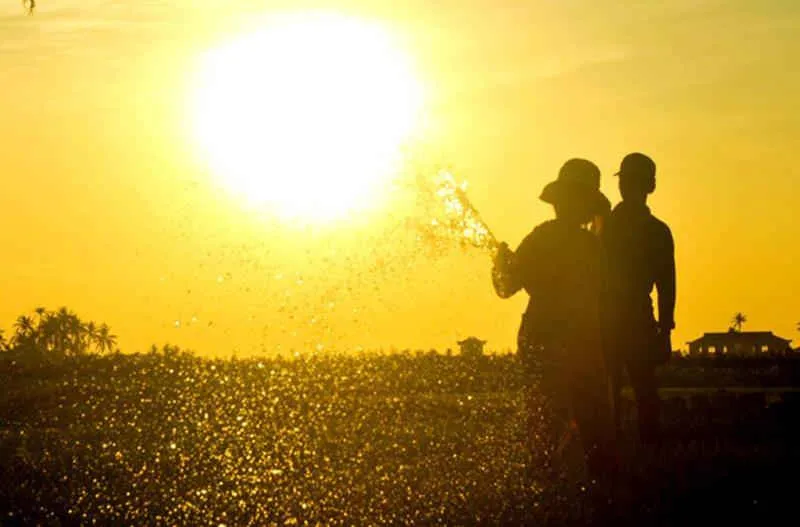 Nắng n&oacute;ng kỷ lục trong  năm 2020 - 1