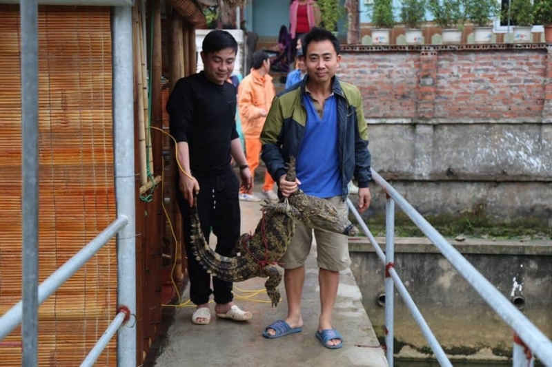 Anh B&ugrave;i Đăng Đa (&aacute;o xanh b&ecirc;n tay phải) rất t&acirc;m huyết với m&ocirc; h&igrave;nh nu&ocirc;i c&aacute; sấu