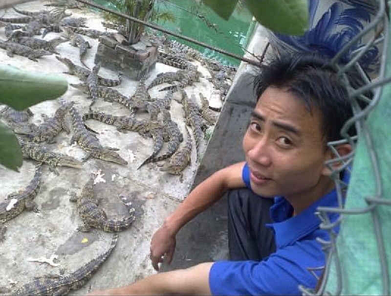 Những người trẻ bám đất làm giàuBài 3: Thu lãi tiền tỷ mỗi năm nhờ nuôi cá sấu