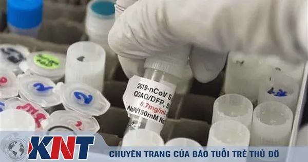 Thái Lan thử nghiệm vaccine Covid-19 trên động vật