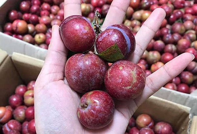 Người có 1 trong 8 dấu hiệu dưới đây tuyệt đối không nên ăn mận kẻo 'rước bệnh vào thân'