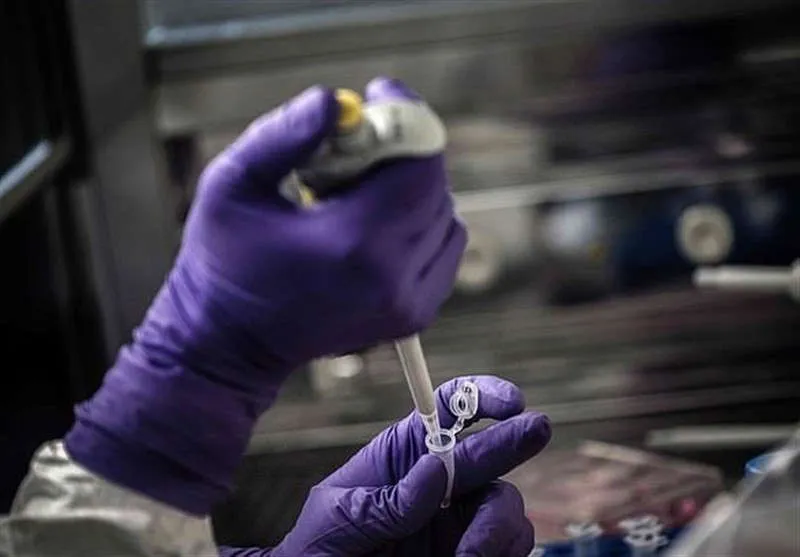 Australia thử nghiệm vaccine phòng chống Covid-19 trên chồn