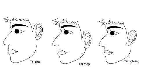 Tướng tai của người phụ nữ giàu sang, là phúc tinh của gia đình