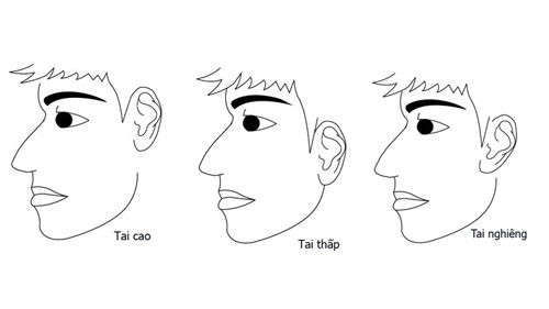 Tướng tai của người phụ nữ giàu sang, là phúc tinh của gia đình - Ảnh 1 Tướng tai của người phụ nữ giàu sang, là phúc tinh của gia đình - Ảnh 1
