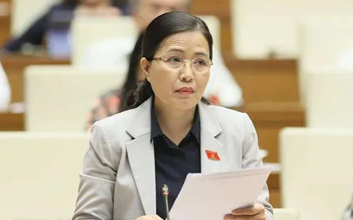 ba do thi lan giu chuc uy vien thuong truc uy ban ve cac van de xa hoi cua quoc hoi hinh 1