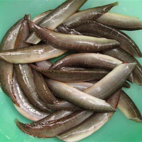 Canh cua ngon mát nhưng nếu nấu chung những thứ này sẽ sinh độc - Ảnh 8 Canh cua ngon mát nhưng nếu nấu chung những thứ này sẽ sinh độc - Ảnh 8