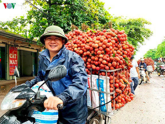 dich covid-19 lieu co anh huong viec xuat khau trai vai sang nhat ban? hinh 1