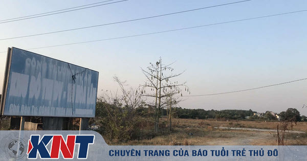 Dự án chưa đầy đủ pháp lý, Công ty Kim Oanh vẫn thế chấp vay tiền tại OCB
