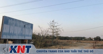 Dự án chưa đầy đủ pháp lý, Công ty Kim Oanh vẫn thế chấp vay tiền tại OCB