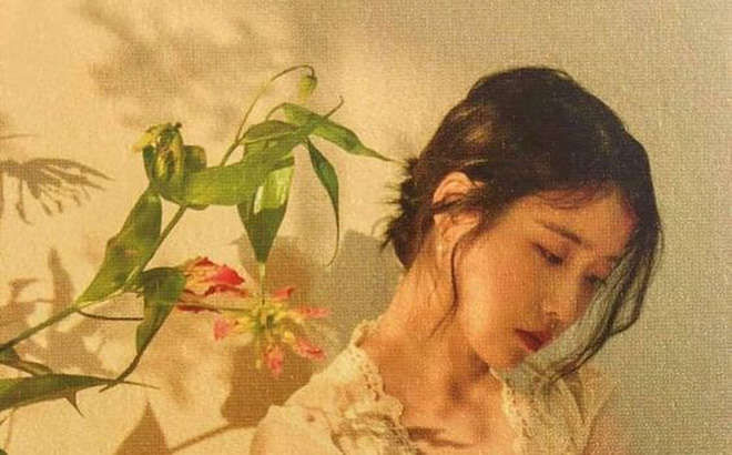 Top 3 cung hoàng đạo tài giỏi, thông minh lại khiêm tốn, cuộc sống đơn giản nhưng là đại gia ngầm - Ảnh 1 Top 3 cung hoàng đạo tài giỏi, thông minh lại khiêm tốn, cuộc sống đơn giản nhưng là đại gia ngầm - Ảnh 1