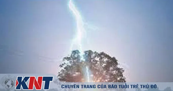 Trú mưa dưới gốc cây, 3 phụ nữ bị sét đánh chết thương tâm